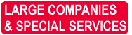 LARGE COMPANIES AND SPECIAL SERVICES